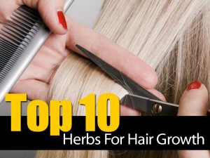 Herbs for hair growth